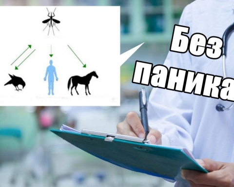Случаи на Нилска треска регистрираха в България