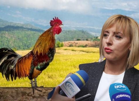 Обществен натиск с Мая Манолова