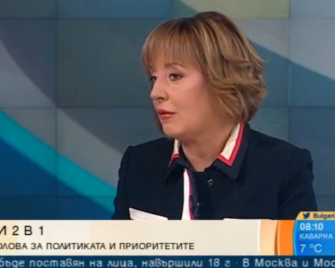 Манолова: Правителството да спре временно износа на дърва за огрев и ток