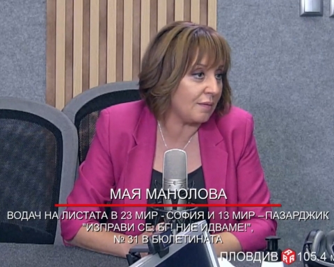 Манолова: Да се извадят търговците на ток, спечелили милиони, докато фирми фалират