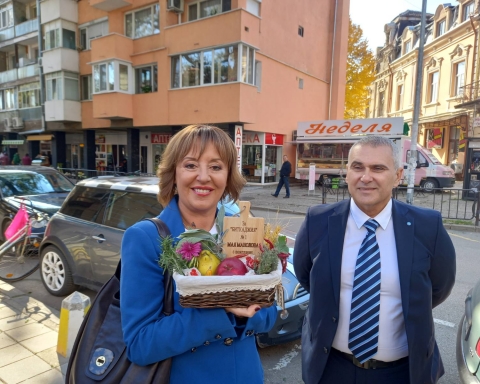 Манолова: Държавата да махне данъците върху тока и да поеме на 100 % увеличението на сметките